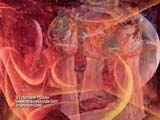 RainbowPuddle Graphic