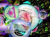RainbowPuddle Graphic